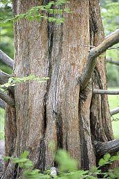 日式休闲冒险游戏《峰子的夜市》延期至2023年